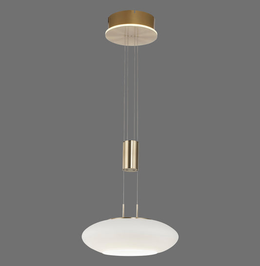 Q-Etienne - Pendant Light - Brass Matt - By Paul Neuhaus - (2075-60)