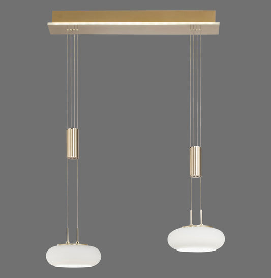 Q-Etienne - Pendant Light - Brass Matt - By Paul Neuhaus - (2076-60)