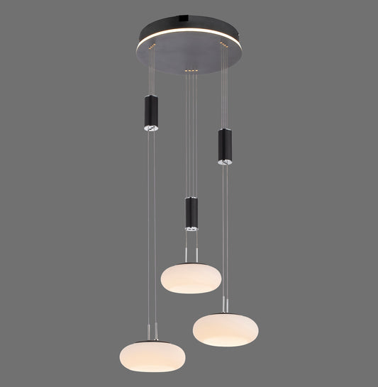 Q-Etienne - Pendant Light - Black - By Paul Neuhaus - (2078-18)