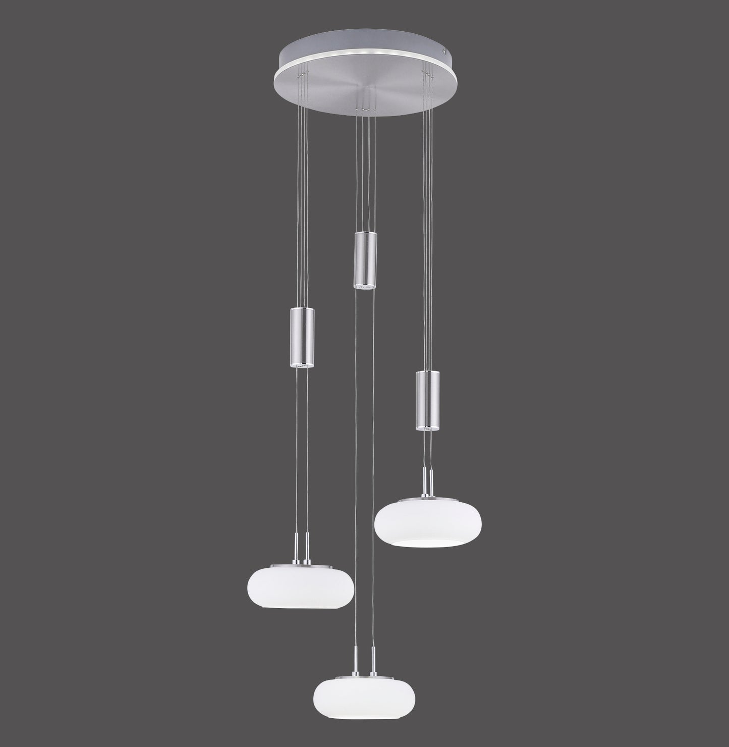 Q-Etienne - Pendant Light - Steel - By Paul Neuhaus - (2078-55)