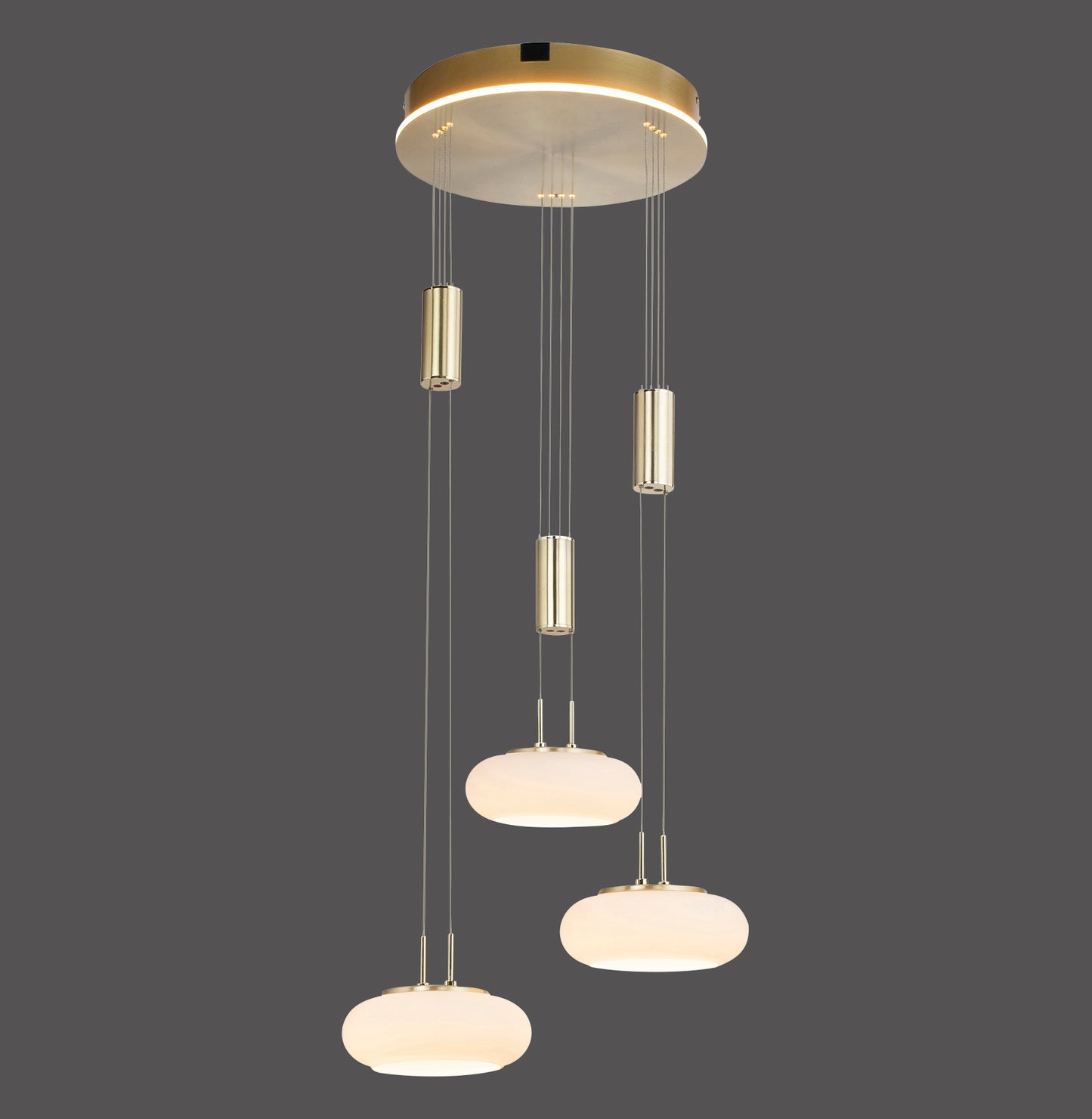 Q-Etienne - Pendant Light - Brass Matt - By Paul Neuhaus - (2078-60)