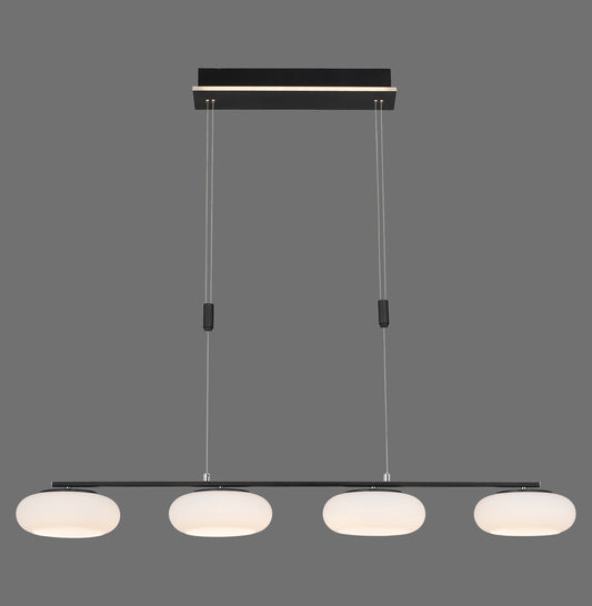 Q-Etienne - Pendant Light - Black - By Paul Neuhaus - (2079-18)