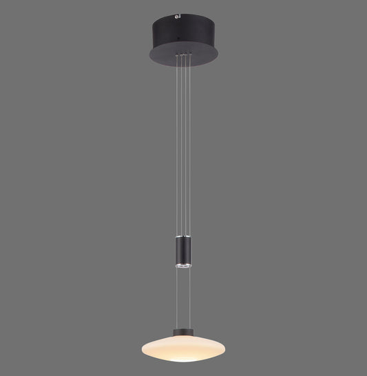 Lautada - Pendant Light - Black - By Paul Neuhaus - (2080-18)