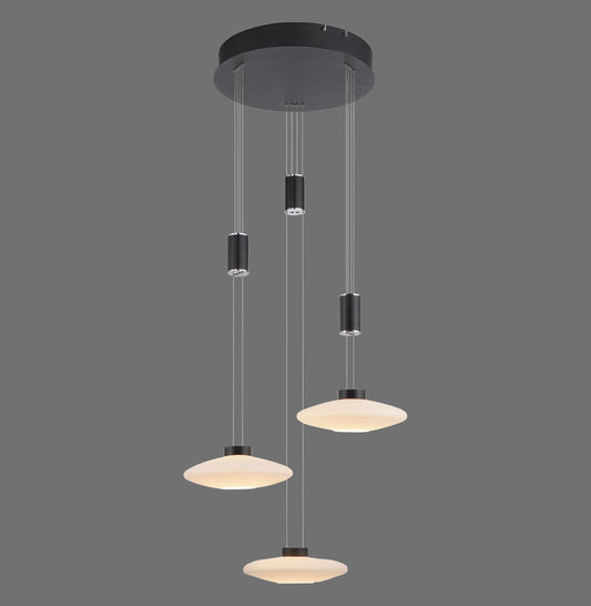 Lautada - Pendant Light - Black - By Paul Neuhaus - (2082-18)
