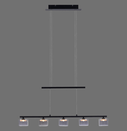 Hydra - Pendant Light - Black - By Paul Neuhaus - (2209-18)