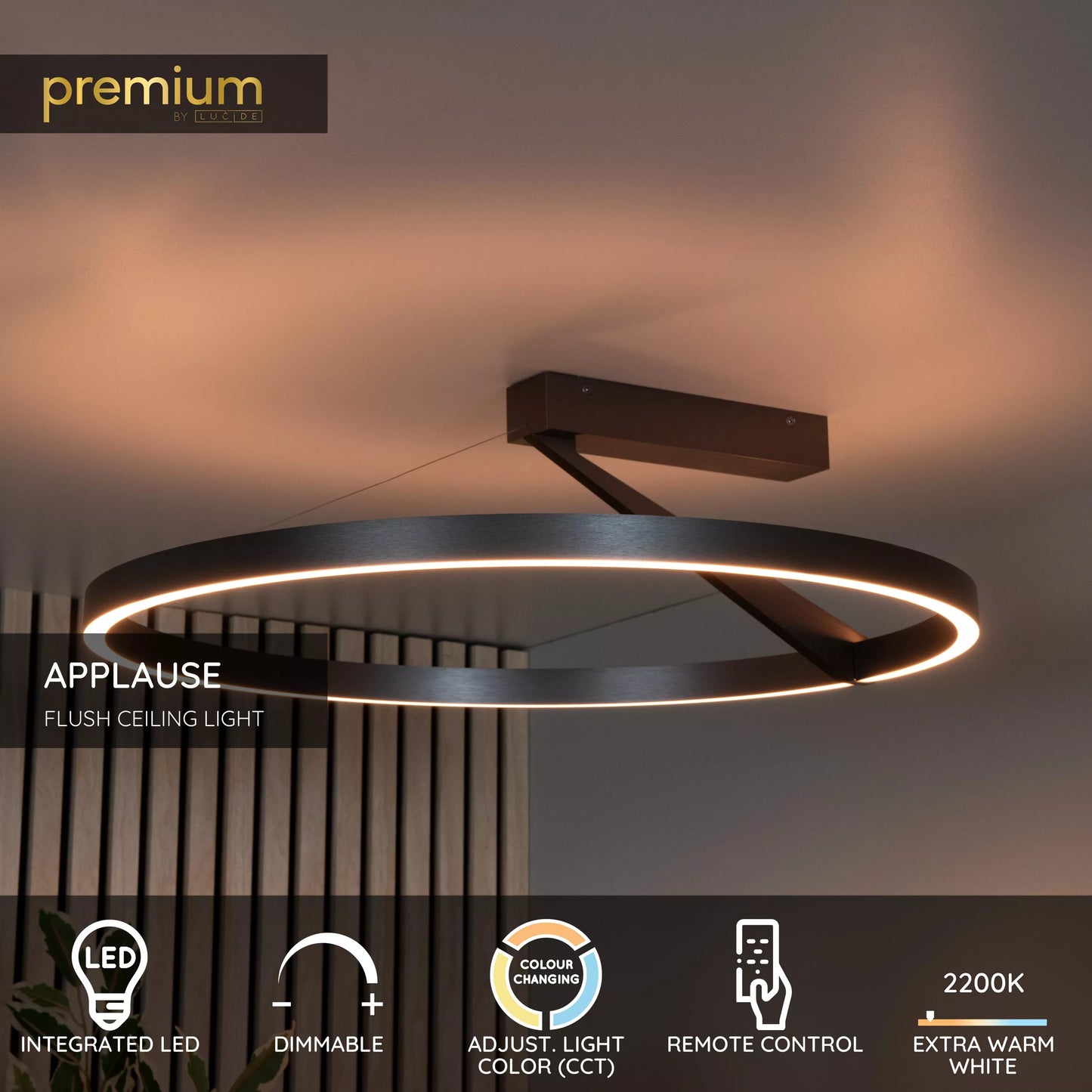 Lucide APPLAUSE - Flush ceiling light - Ø 60 cm - LED Dim. - CCT - 1x40W 2200K/4000K - Grey iron | Premium