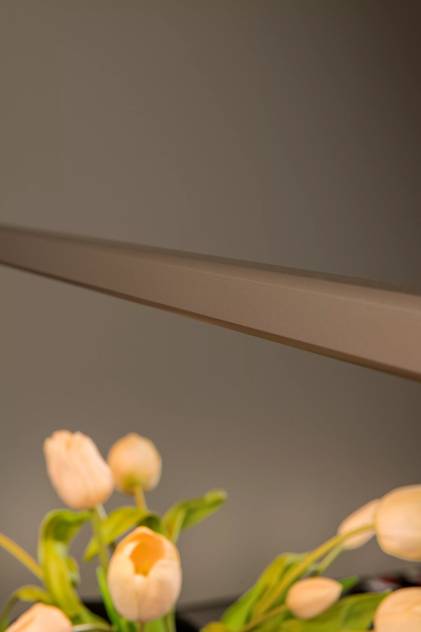 Lucide BRAGA - Hanging Lamp - LED Dimb. - CCT - 1x36W 2700K/4000K - Hand Motion Sensor - Coffee | Premium