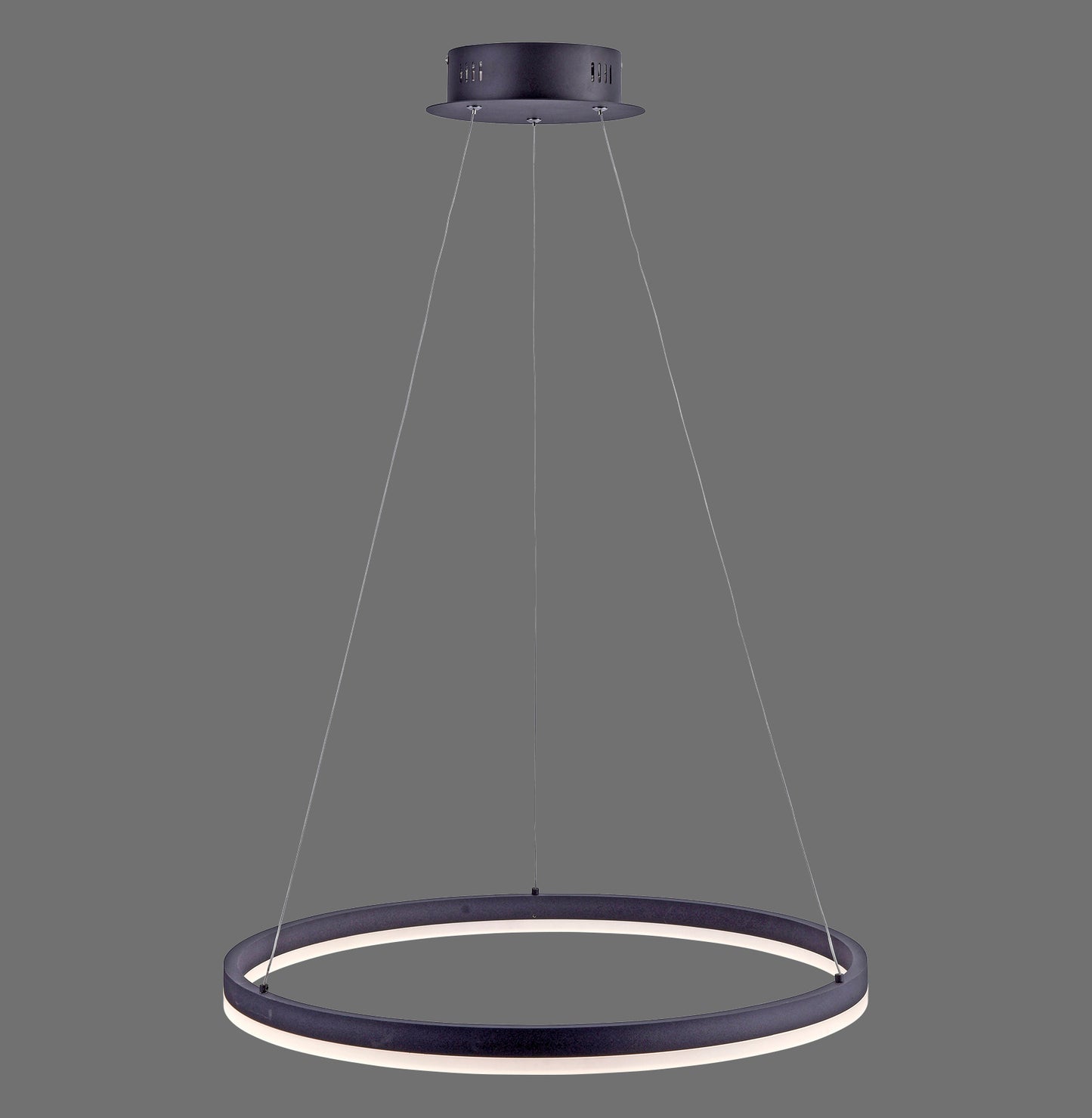 Titus - Pendant Light - Anthrazit - By Paul Neuhaus - (2382-13)