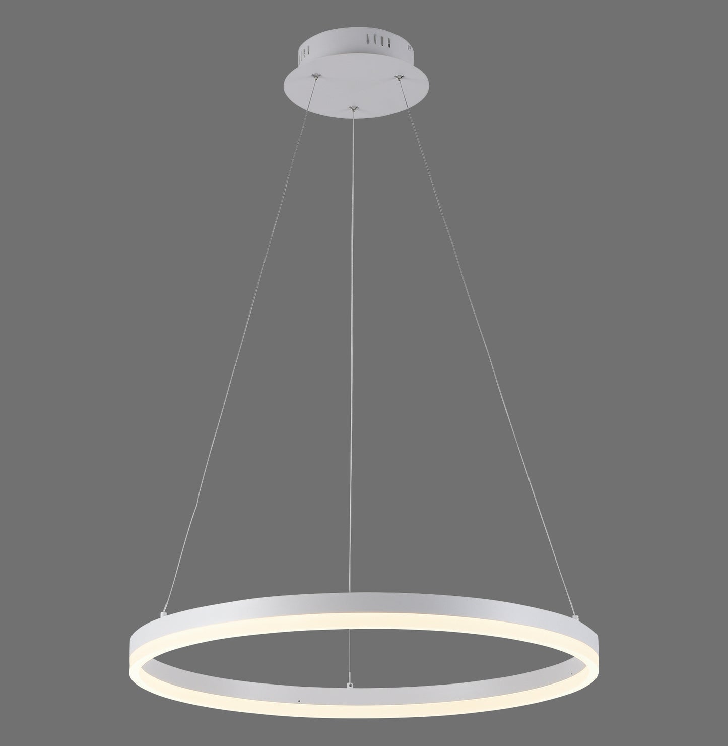 Titus - Pendant Light - White - By Paul Neuhaus - (2382-16)