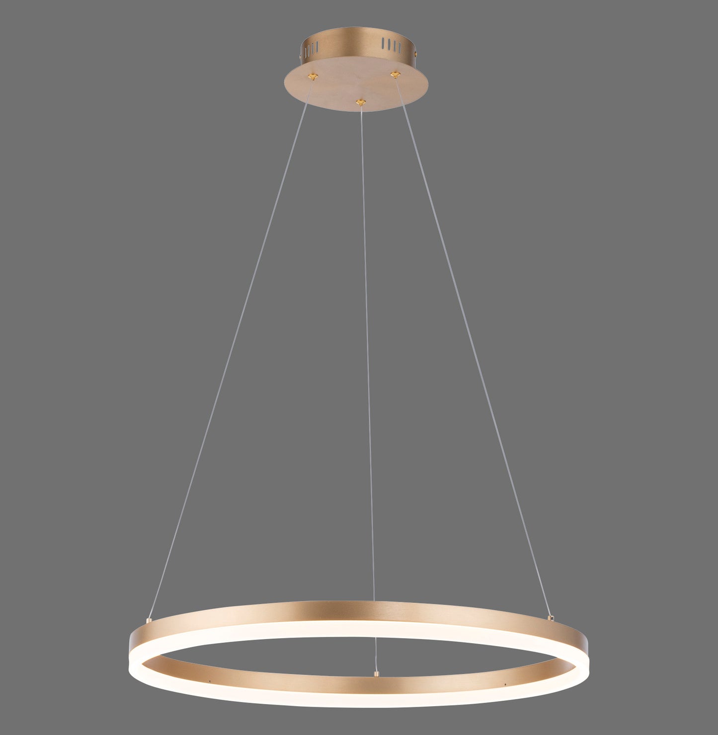 Titus - Pendant Light - Brass Matt - By Paul Neuhaus - (2382-60)