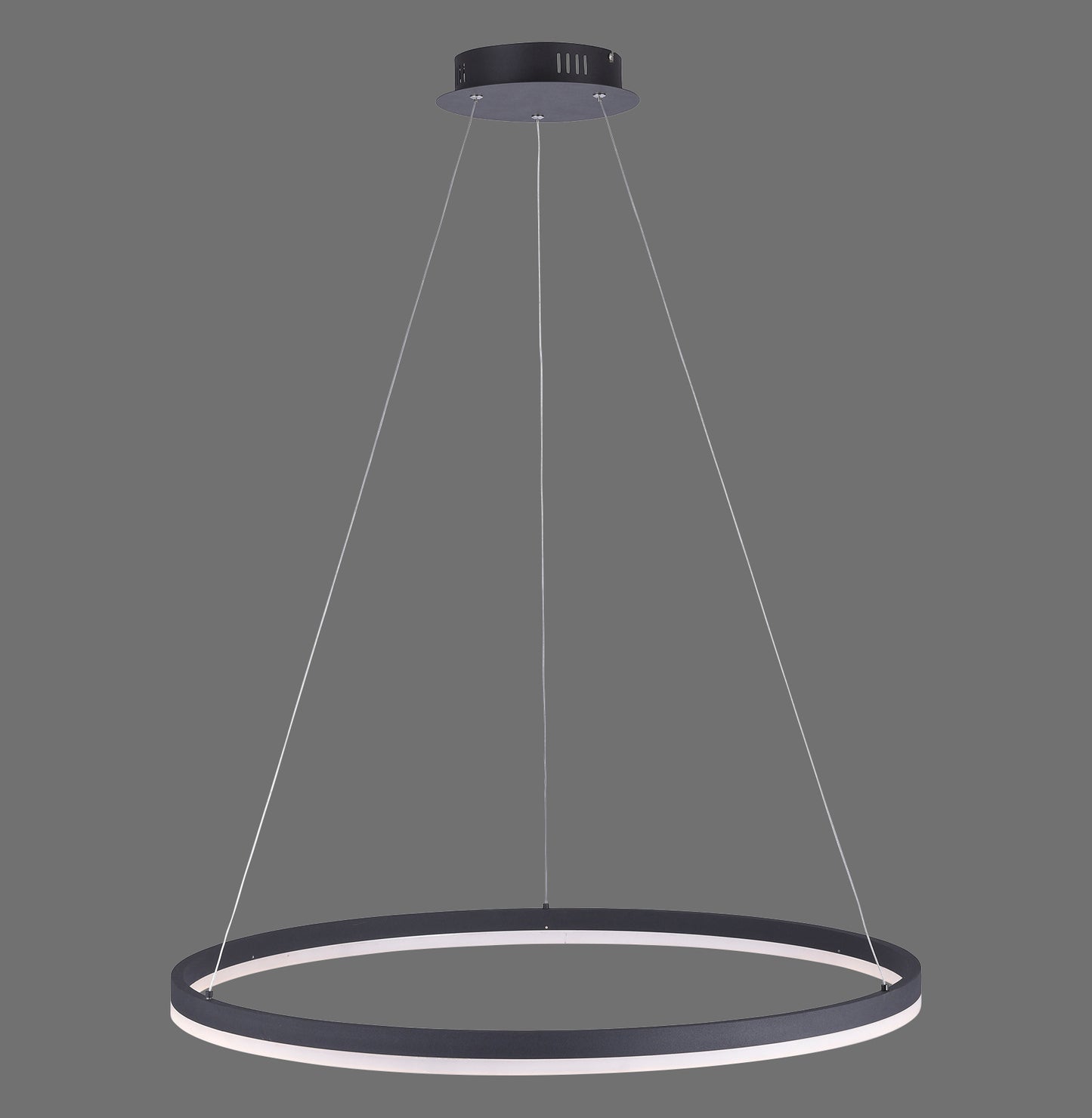 Titus - Pendant Light - Anthrazit - By Paul Neuhaus - (2383-13)