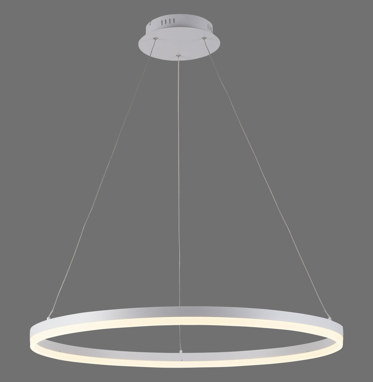 Titus - Pendant Light - White - By Paul Neuhaus - (2383-16)