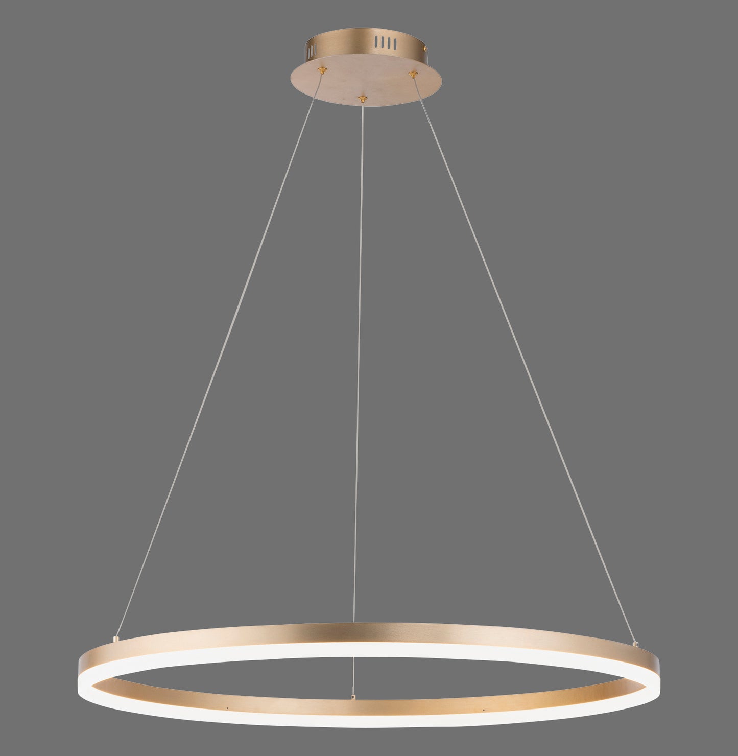 Titus - Pendant Light - Brass Matt - By Paul Neuhaus - (2383-60)