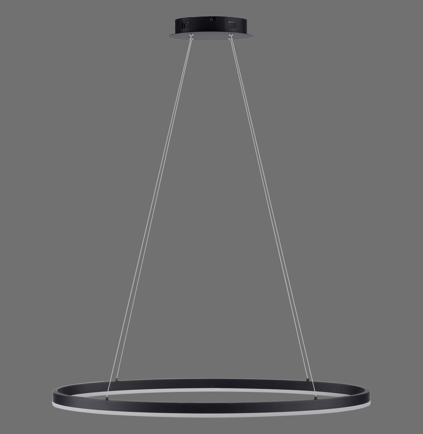 Titus - Pendant Light - Anthrazit - By Paul Neuhaus - (2392-13)