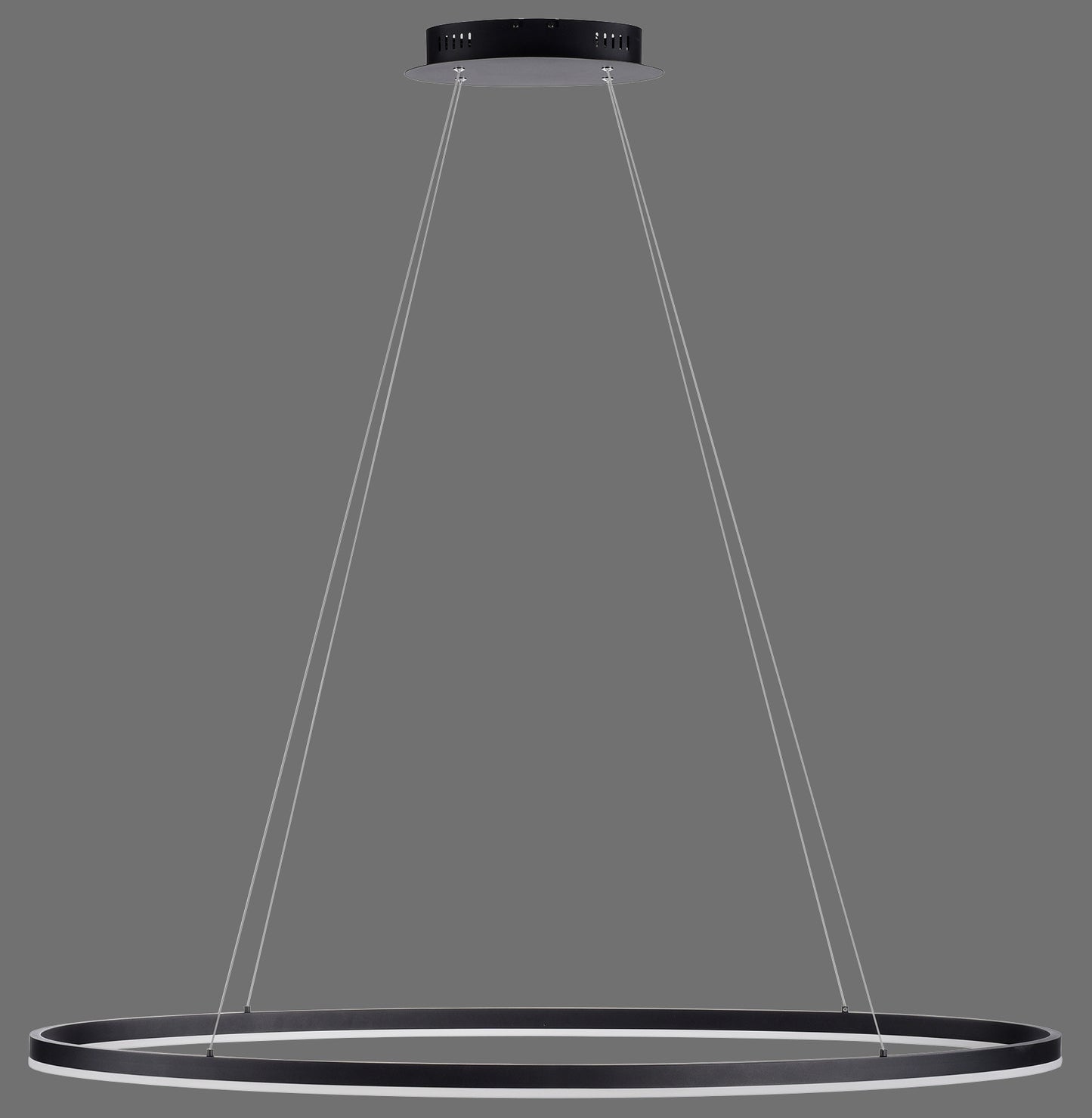 Titus - Pendant Light - Anthrazit - By Paul Neuhaus - (2393-13)