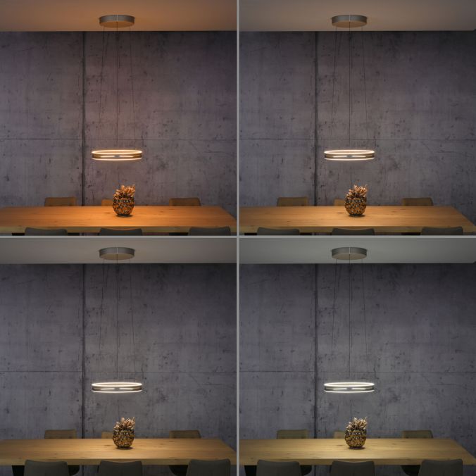 Pure E-Loop - Pendant Light - Bronce - By Paul Neuhaus - (2550-97)
