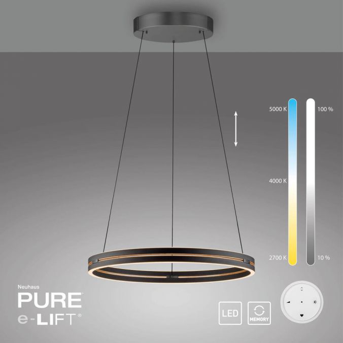 Pure E-Loop - Pendant Light - Black & Oak - By Paul Neuhaus - (2551-18)