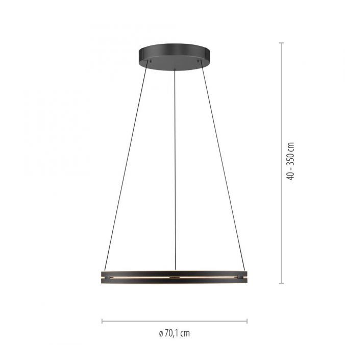 Pure E-Loop - Pendant Light - Black & Oak - By Paul Neuhaus - (2551-18)
