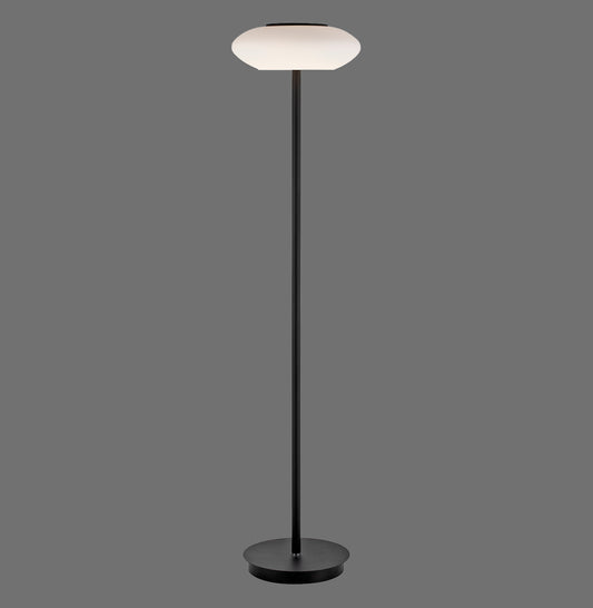 Q-Etienne - Floor Lamp - Black - By Paul Neuhaus - (271-18)