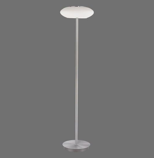 Q-Etienne - Floor Lamp - Steel - By Paul Neuhaus - (271-55)