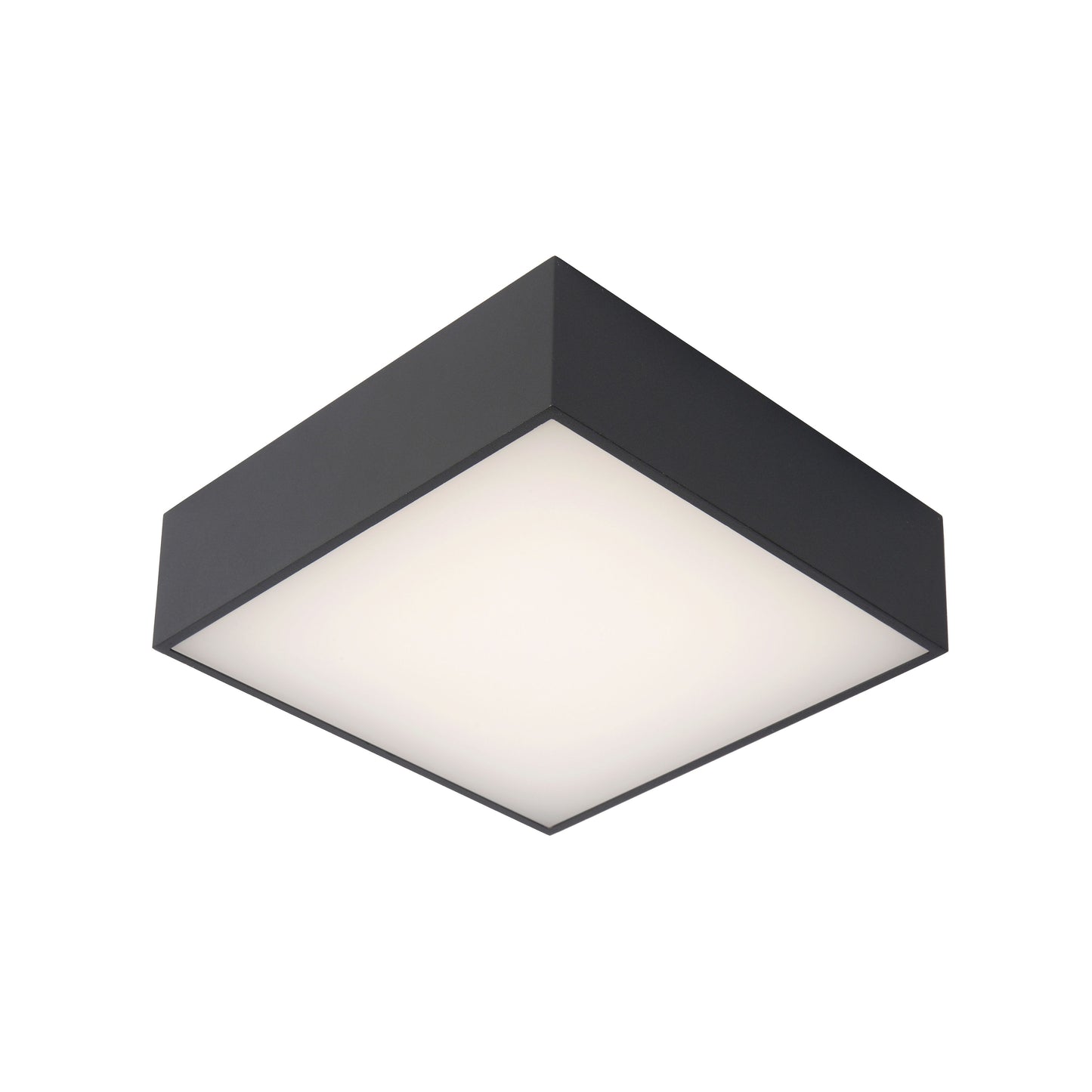 Lucide ROXANE - Flush ceiling light Bathroom - LED - 1x12W 2700K - IP54 - Anthracite