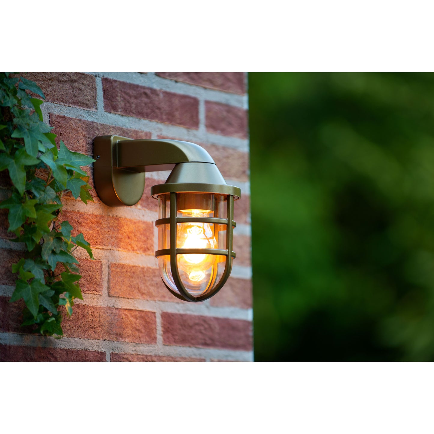 Lucide LEWIS - Wall light Indoor/Outdoor - 1xE27 - IP44 - Matt Gold / Brass