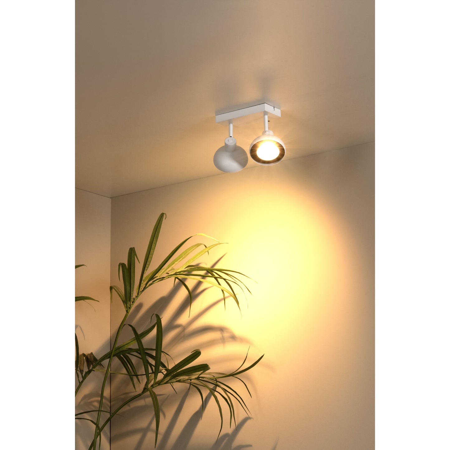 Lucide SENSAS - Ceiling spotlight - 2xGU10 (ES111) - White