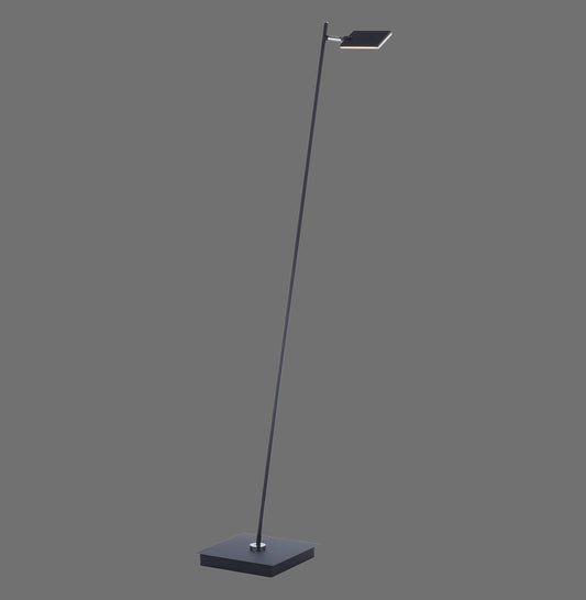 Pure Mira - Floor Lamp - Black - By Paul Neuhaus - (356-18)