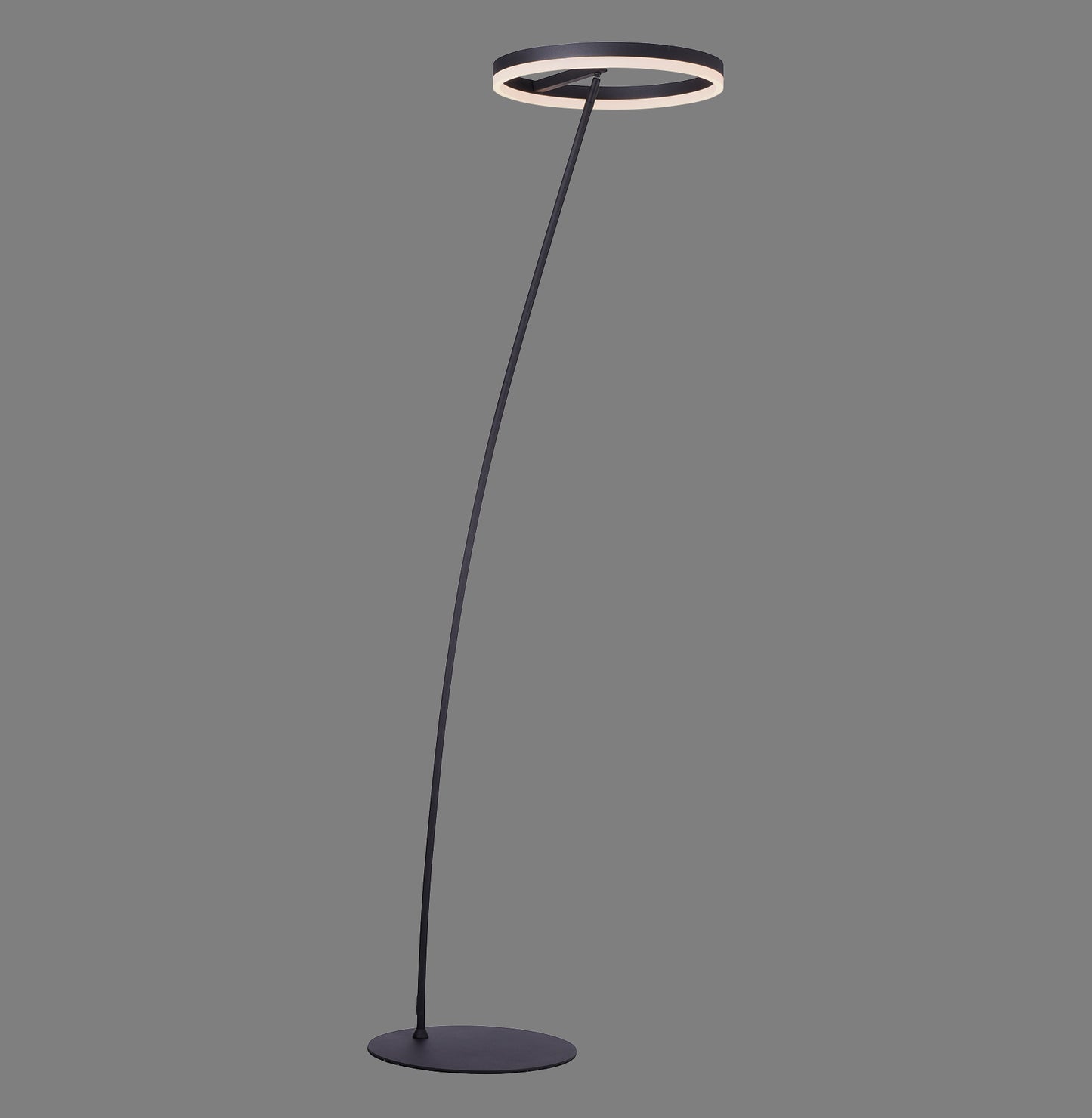 Titus - Floor Lamp - Anthrazit - By Paul Neuhaus - (381-13)