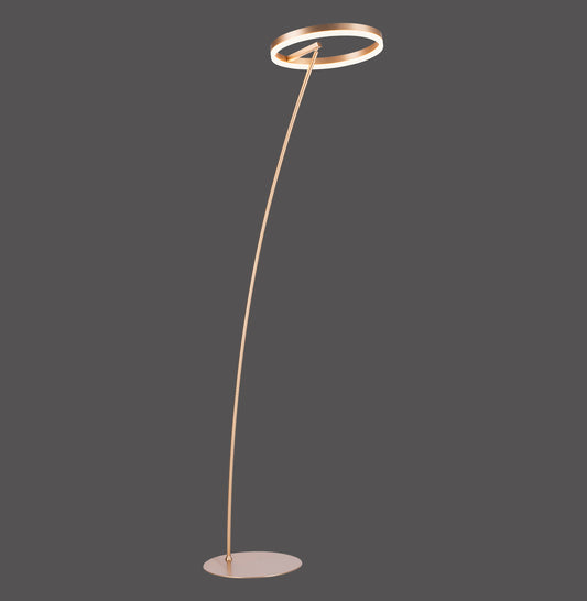 Titus - Floor Lamp - Brass Matt - By Paul Neuhaus - (381-60)