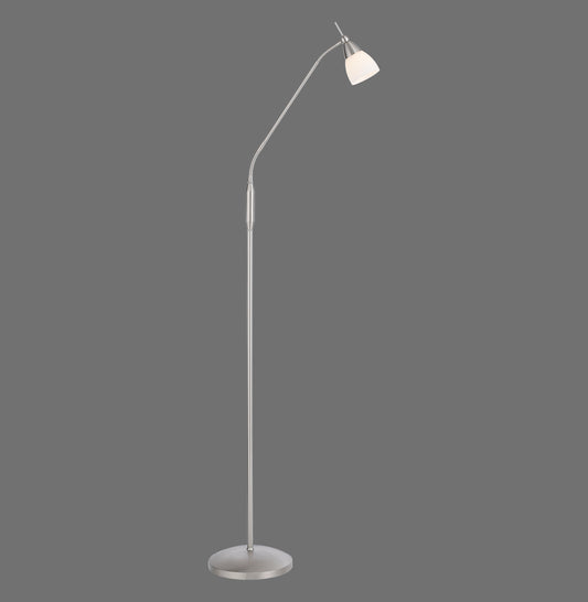 Pino - Floor Lamp - Steel - By Paul Neuhaus - (400-55)