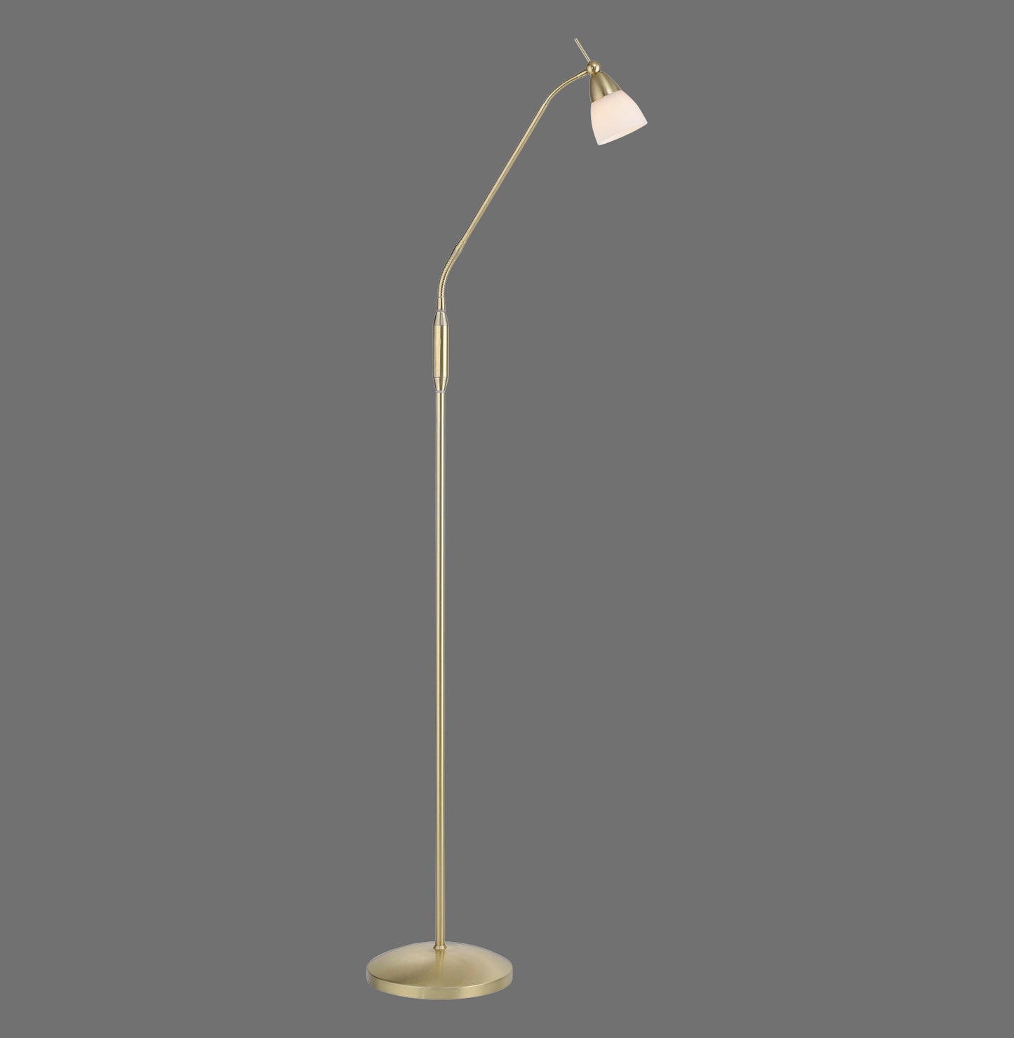 Pino - Floor Lamp - Brass Matt - By Paul Neuhaus - (400-60)