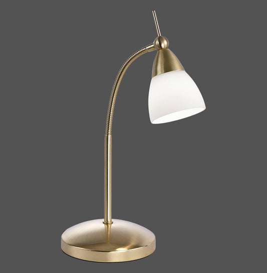 Pino - Table Lamp - Brass Matt - By Paul Neuhaus - (4001-60)