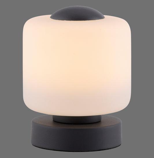 Bota - Table Lamp - Anthrazit - By Paul Neuhaus - (4037-13)