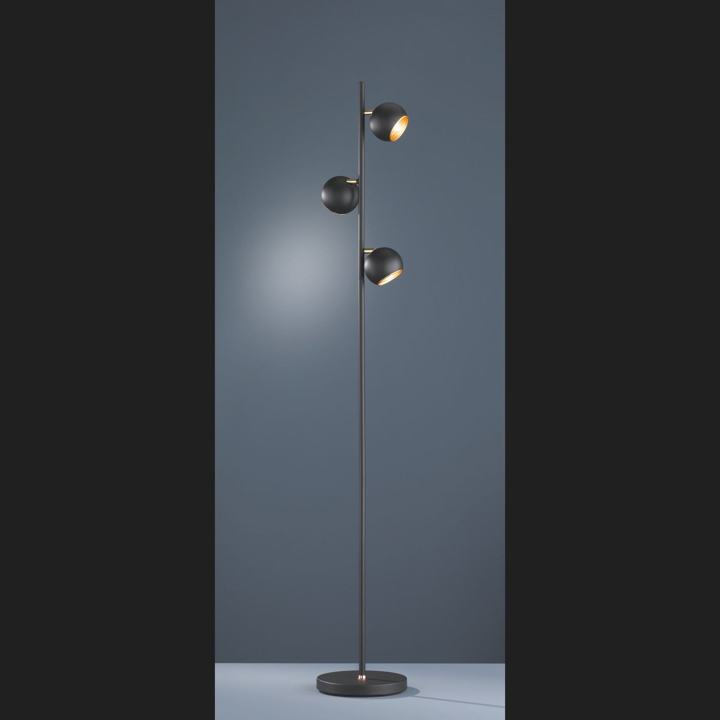 Dakota  - Floor lamp - Black Matt - Trio