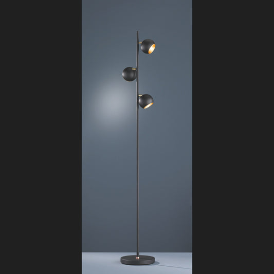 Dakota  - Floor lamp - Black Matt - Trio