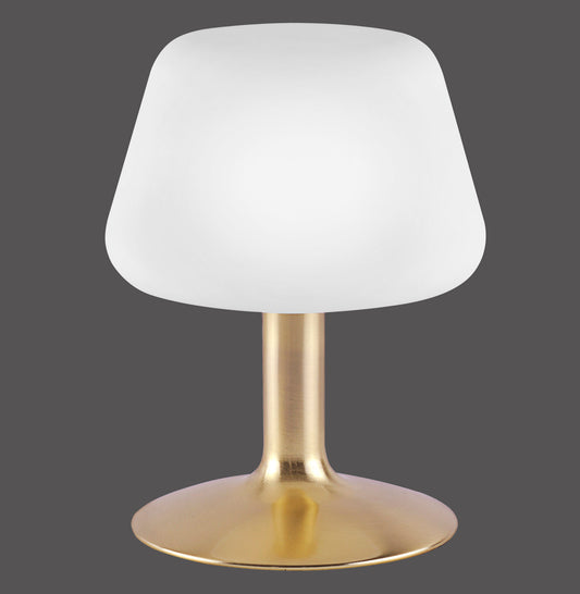 Till - Table Lamp - Brass Matt - By Paul Neuhaus - (4078-60)