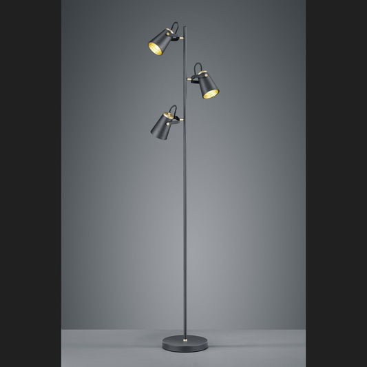 Edward  - Floor lamp - Black Matt - Trio