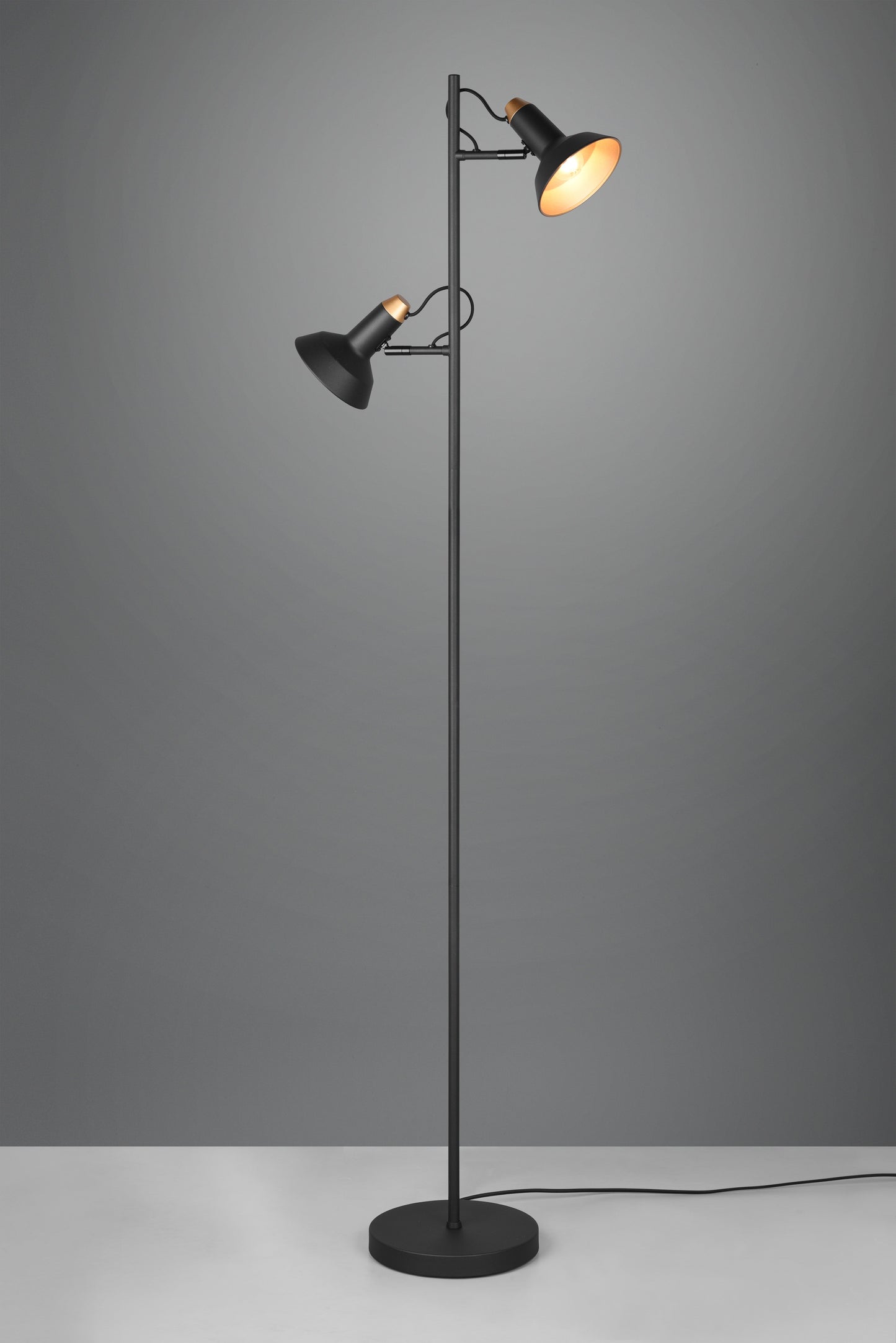 Roxie  - Floor lamp - Black Matt - Trio