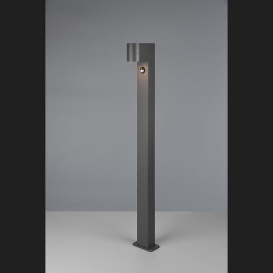 ROYA Pole (C) - Anthracite