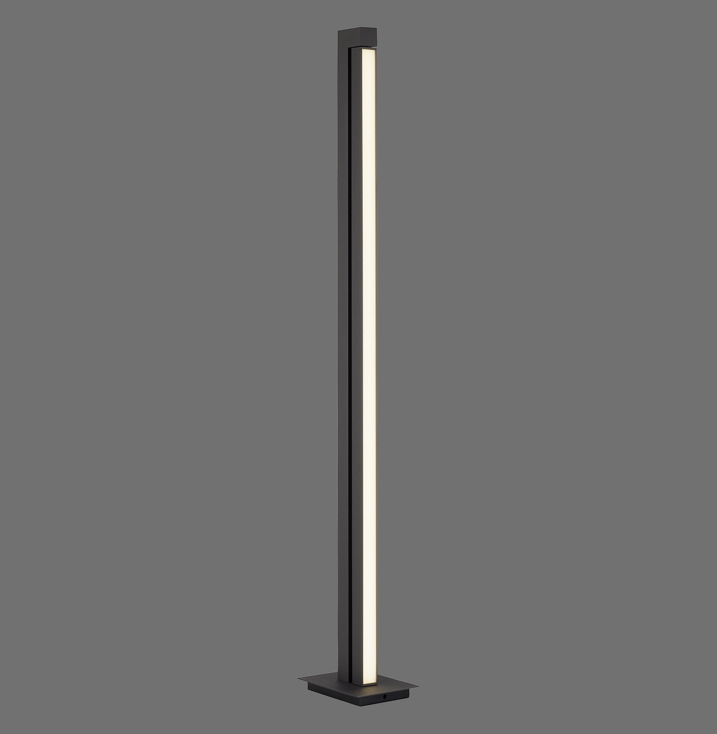 Pure Lines Floor - Floor Lamp - Anthrazit - By Paul Neuhaus - (421-13)