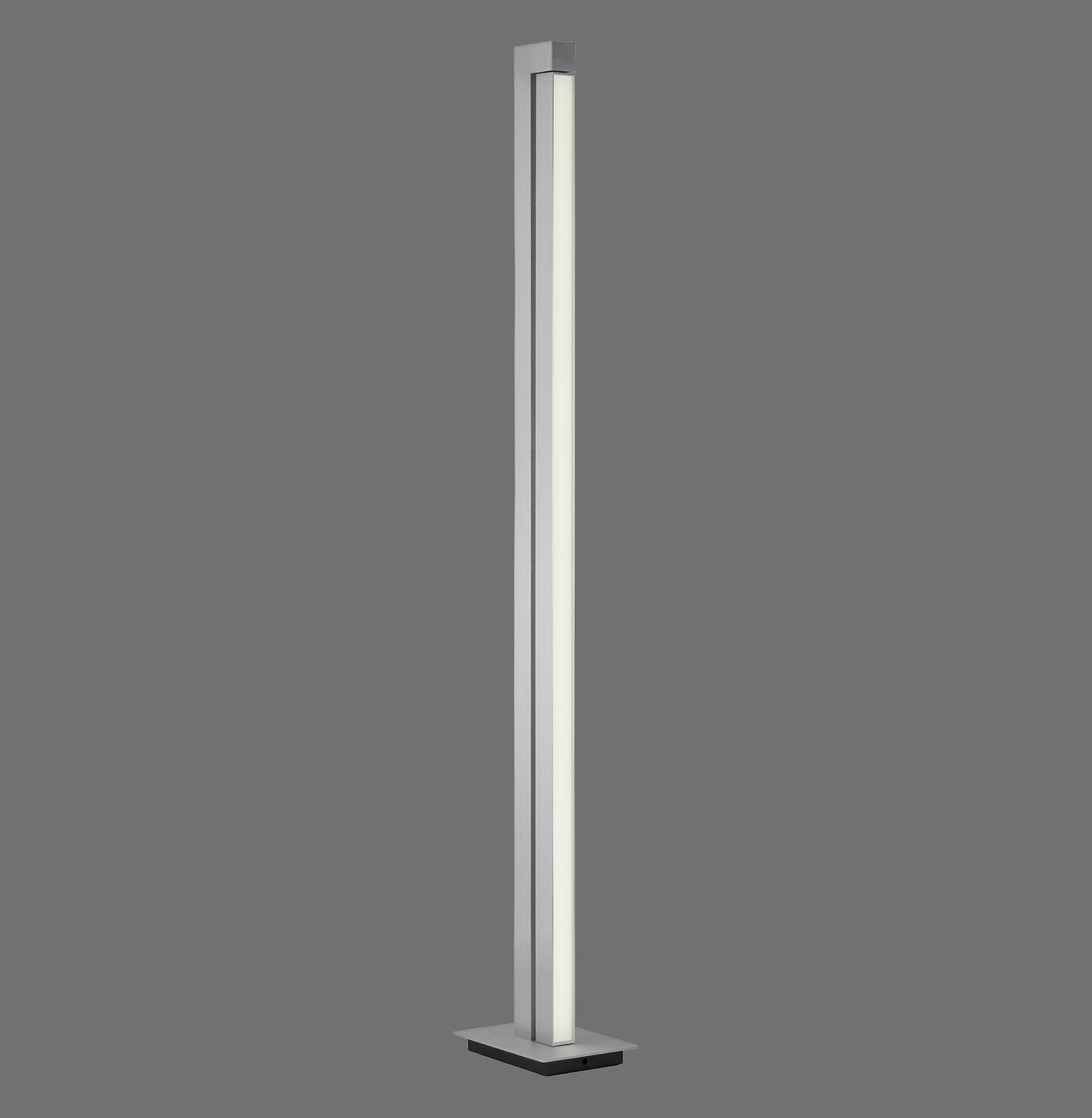 Pure Lines Floor - Floor Lamp - Aluminium - By Paul Neuhaus - (421-95)