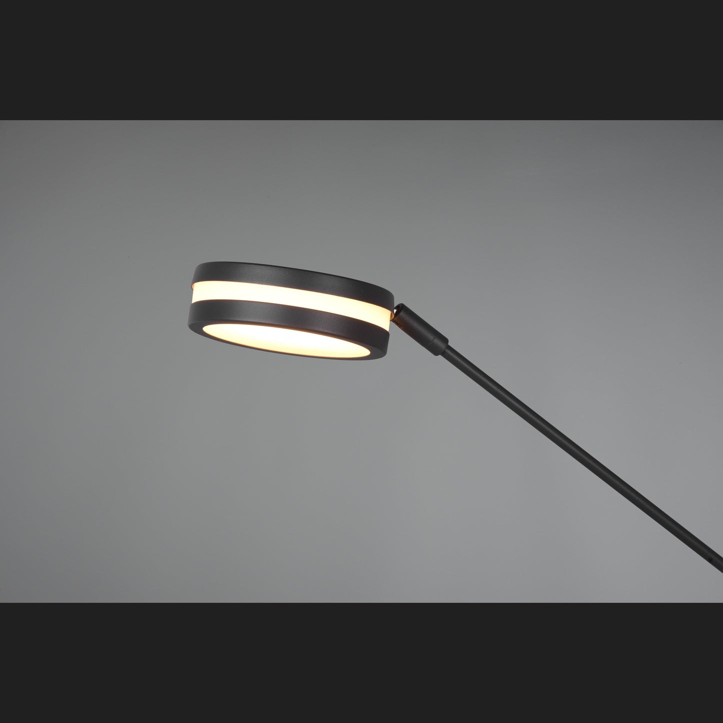 Franklin  - Floor lamp - Anthracite - Trio