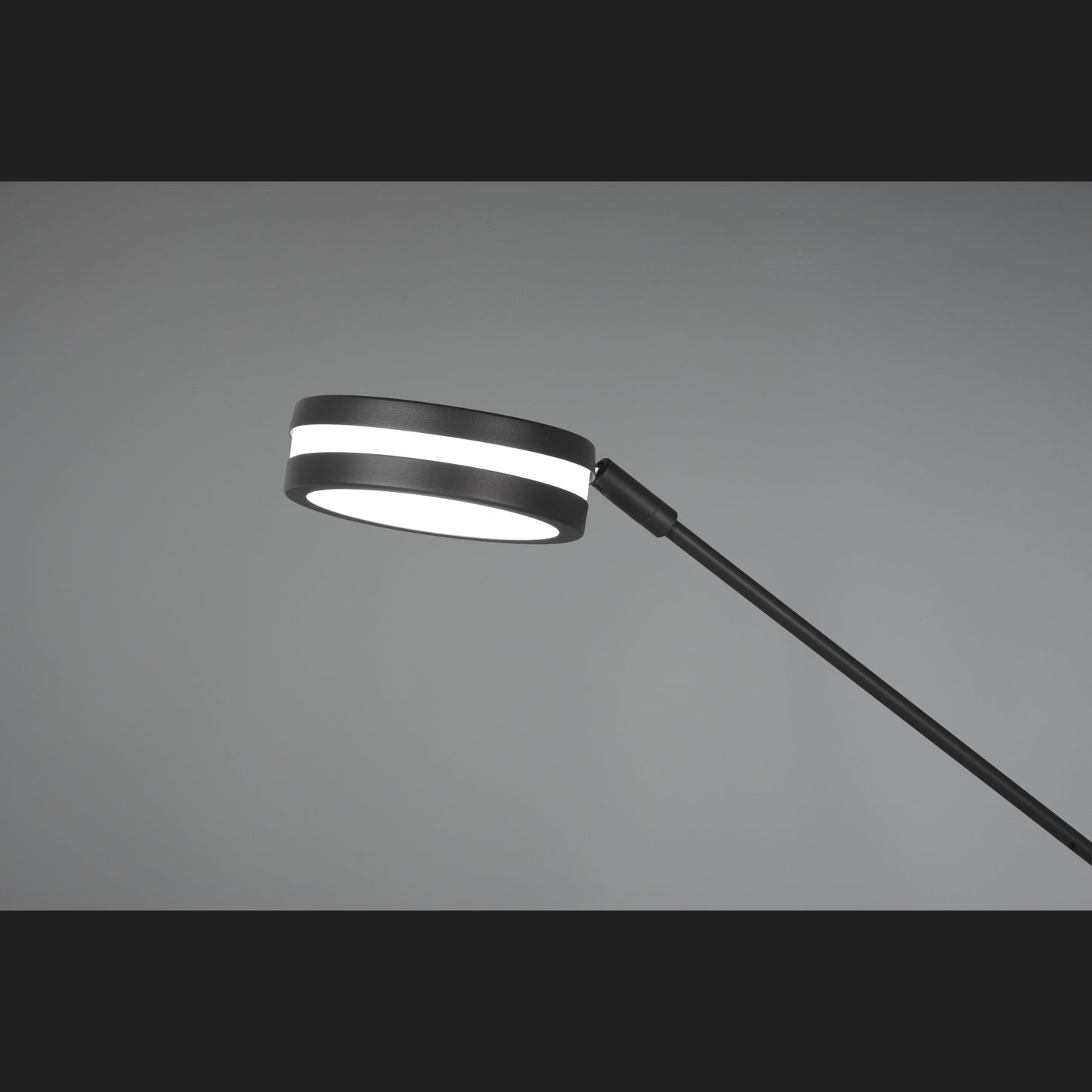 Franklin  - Floor lamp - Anthracite - Trio