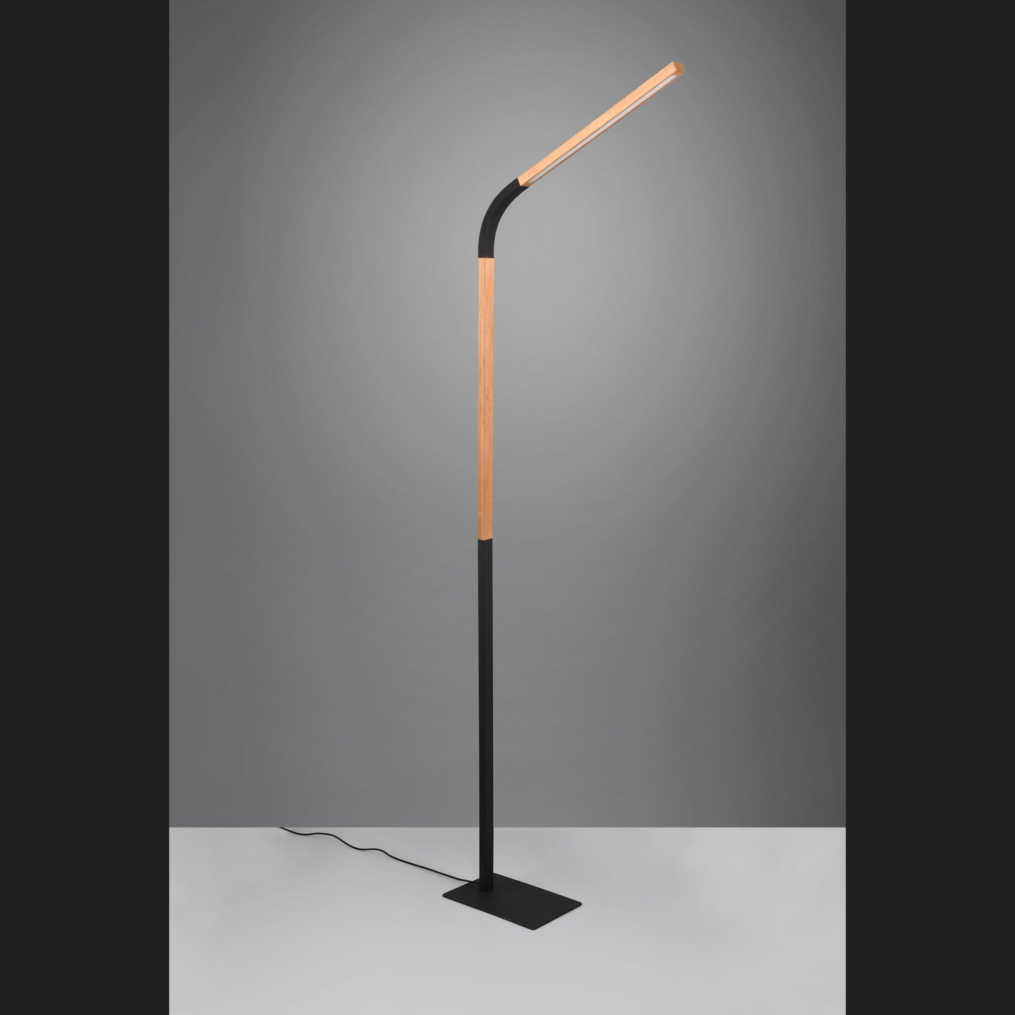 Norris  - Floor lamp - Black Matt - Trio