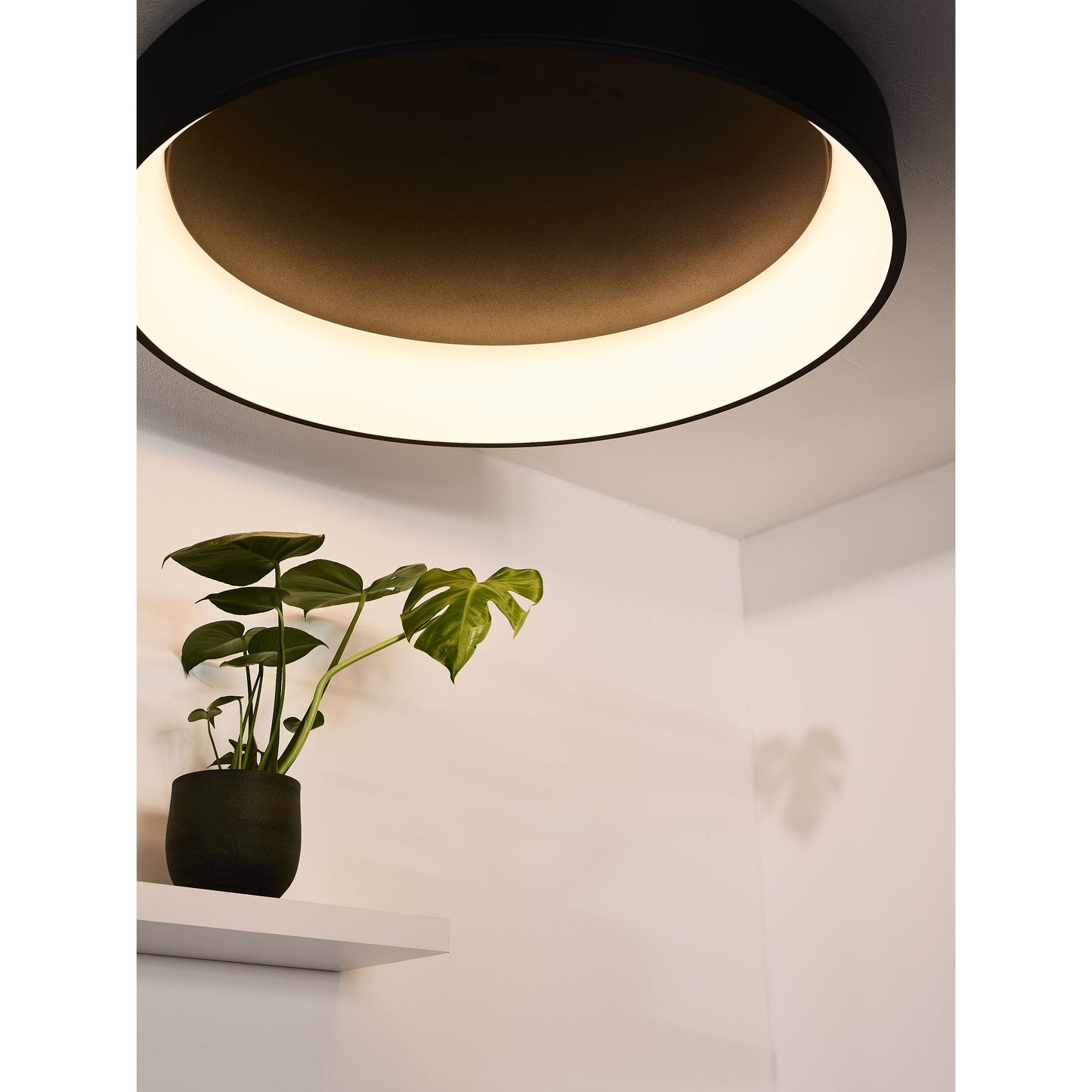 Lucide TALOWE LED - Flush ceiling light - Ø 80 cm - LED Dim. - 1x80W 3000K - Black