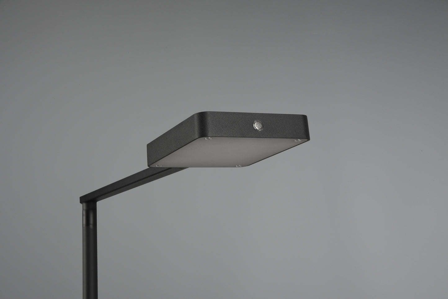 Pavia  - Floor lamp - Black Matt - Trio