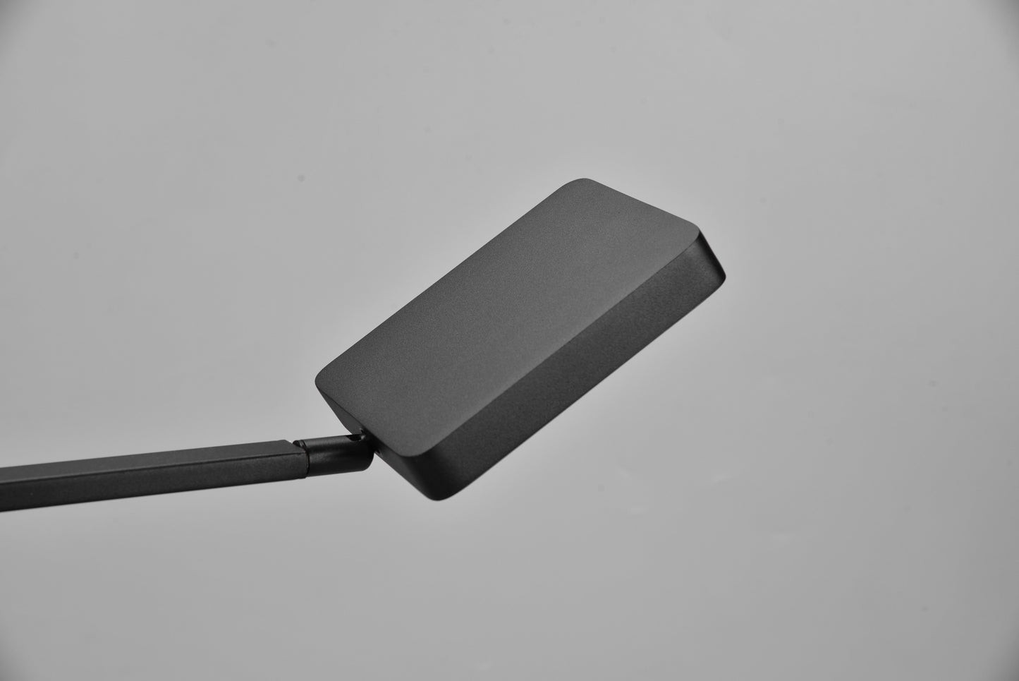 Pavia  - Floor lamp - Black Matt - Trio