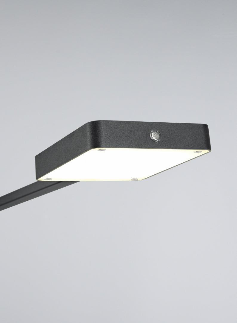 Pavia  - Floor lamp - Black Matt - Trio