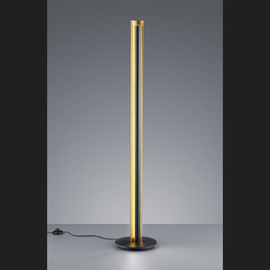 Texel  - Floor lamp - Black - Trio